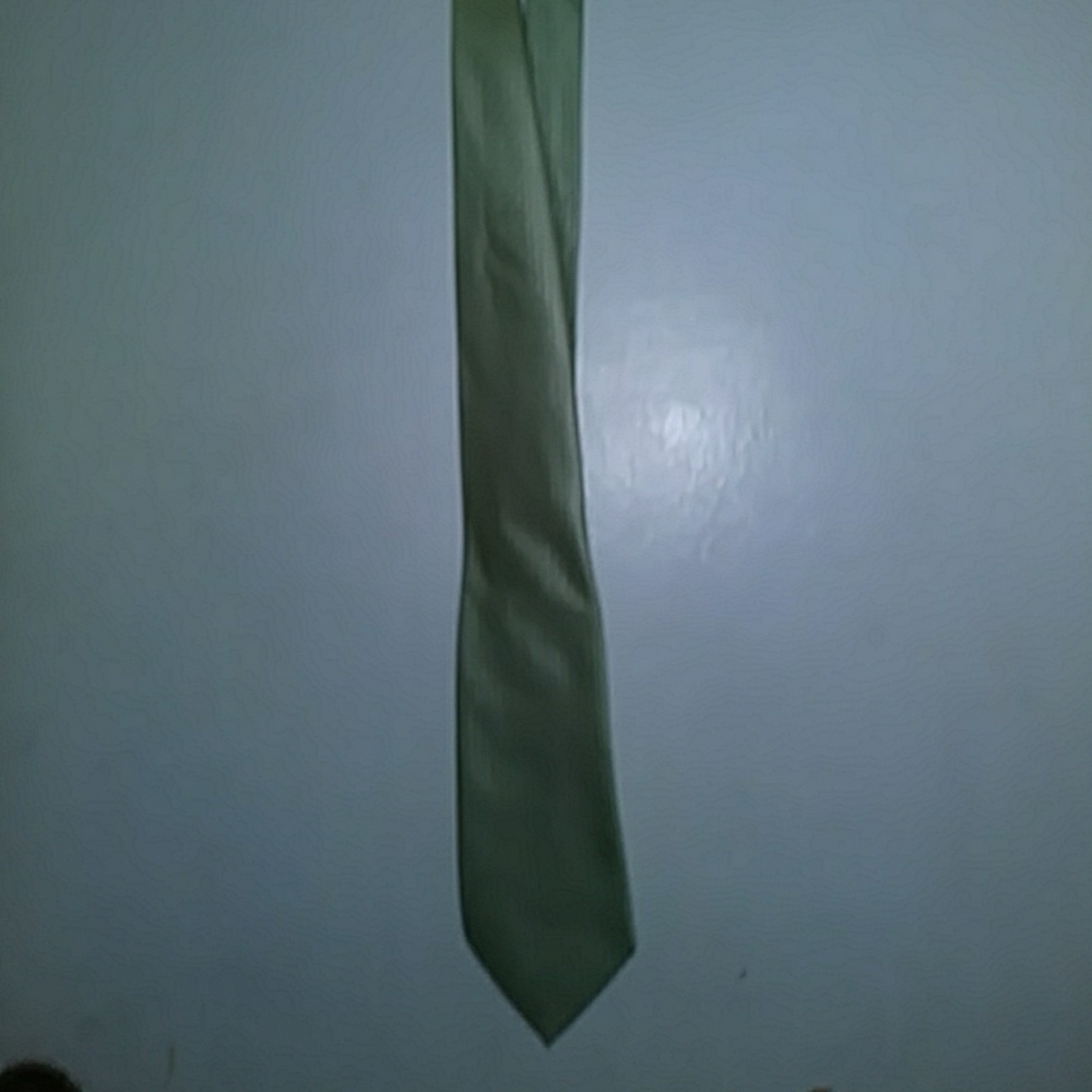 Beverly Hills Polo Club Tie